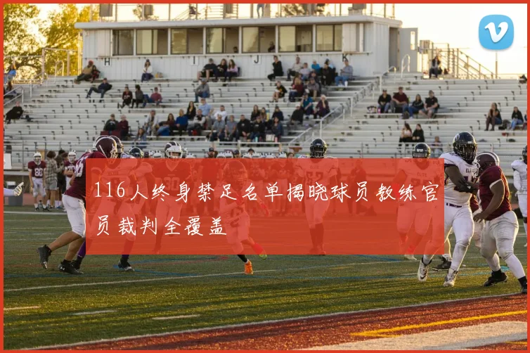 116人终身禁足名单揭晓球员教练官员裁判全覆盖