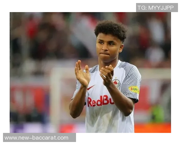 德媒揭示阿德耶米神秘盒子真相并非误购武器背后故事