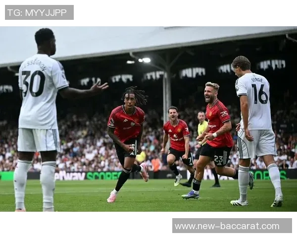 2025年英超主场失利统计热刺以10场居首曼联并列第5名失利6场